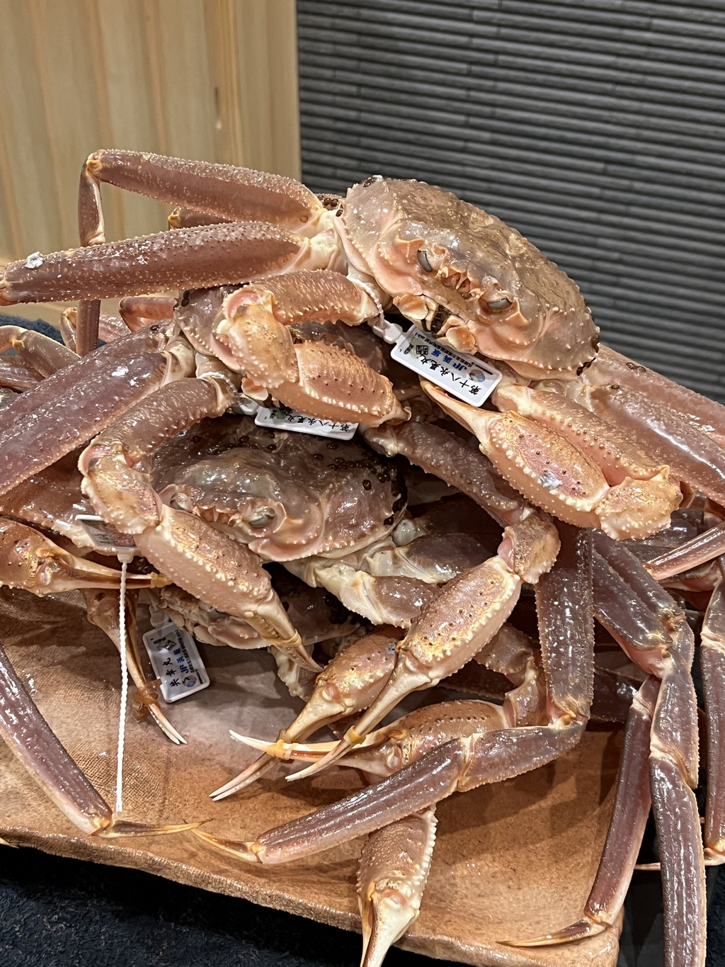 活生生的浜坂產松葉蟹