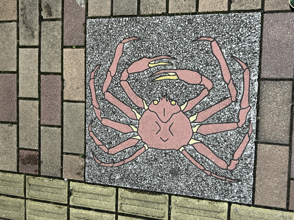 鳥取街頭連地磚都是松葉蟹圖案