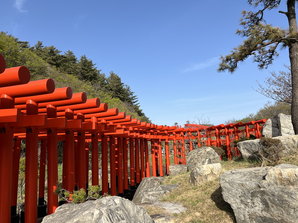 千本鳥居