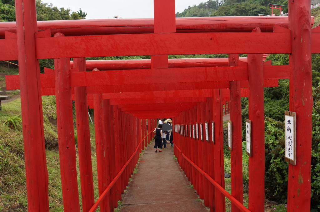 元乃隅神社交通與旅遊攻略｜山口縣必訪絕景、千本鳥居半日遊