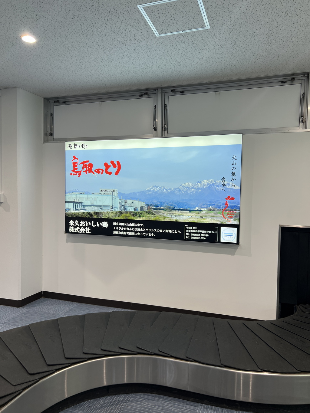 鳥取空港提領行李
