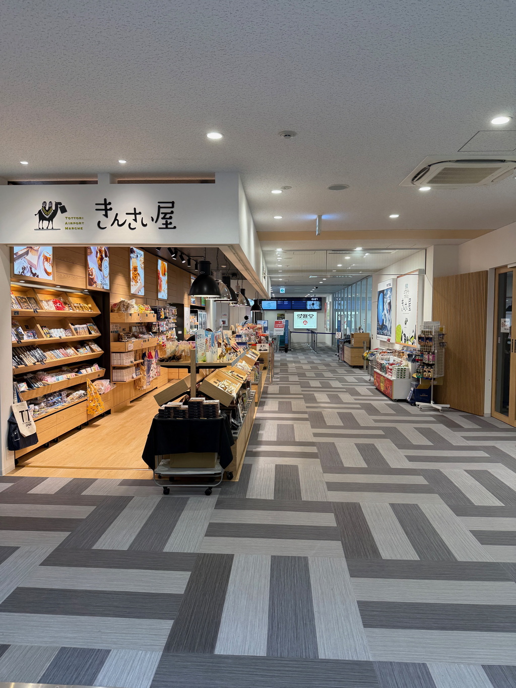 鳥取機場
