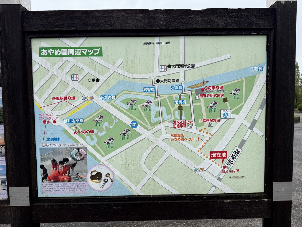 【關東景點】【茨城景點】水鄉潮來菖蒲祭與花嫁入舟